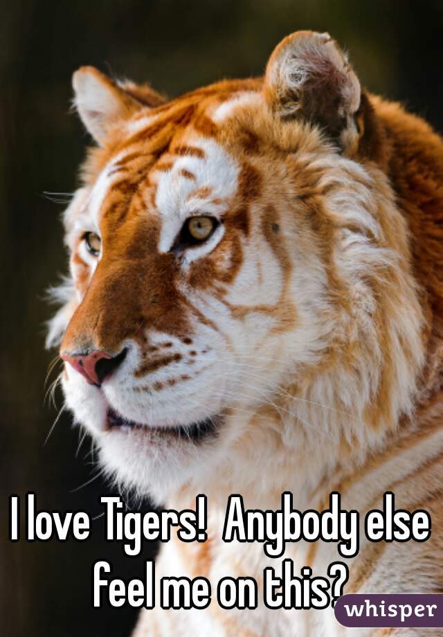 I love Tigers!  Anybody else feel me on this? 