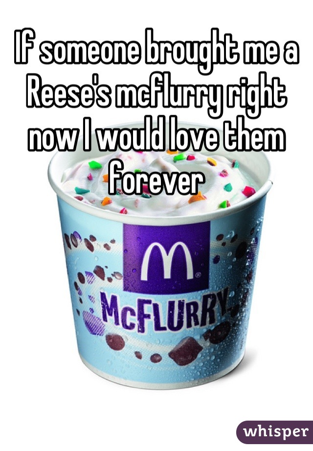 If someone brought me a Reese's mcflurry right now I would love them forever