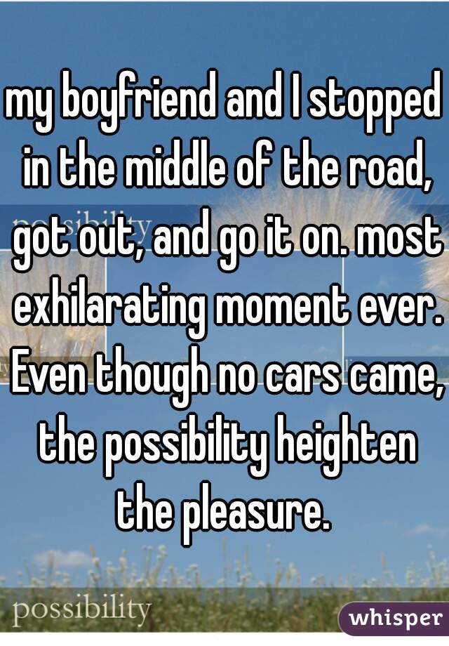 my boyfriend and I stopped in the middle of the road, got out, and go it on. most exhilarating moment ever. Even though no cars came, the possibility heighten the pleasure. 