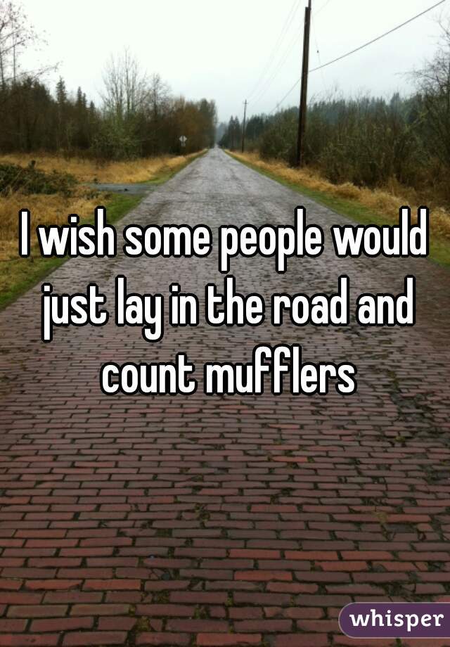 I wish some people would just lay in the road and count mufflers