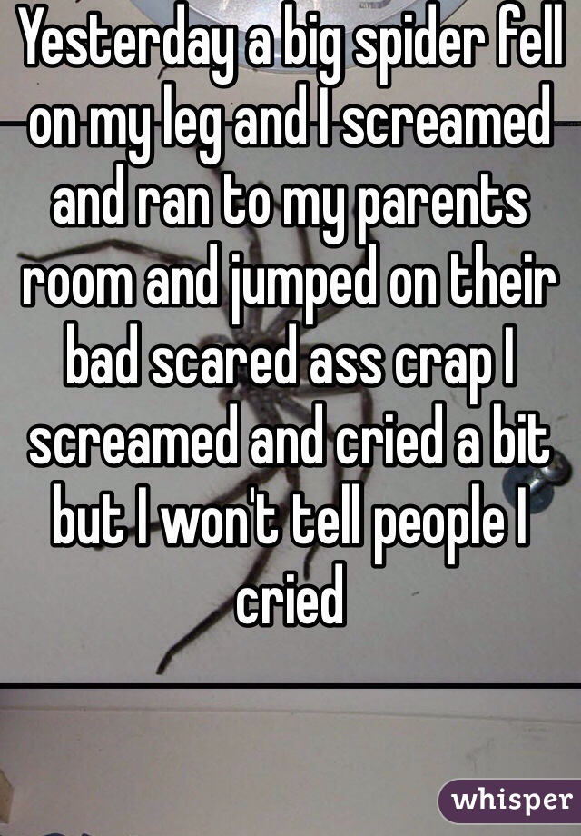 Yesterday a big spider fell on my leg and I screamed and ran to my parents room and jumped on their bad scared ass crap I screamed and cried a bit but I won't tell people I cried 