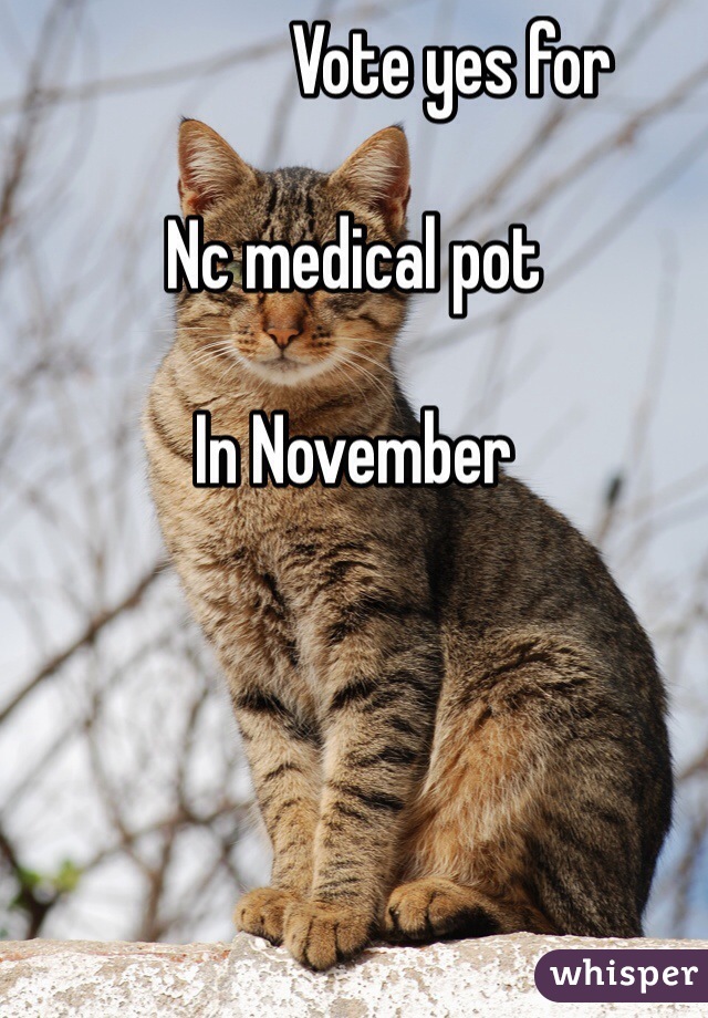               Vote yes for 

Nc medical pot 

In November  