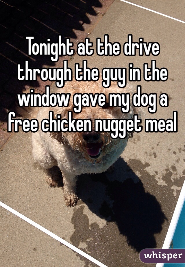 Tonight at the drive through the guy in the window gave my dog a free chicken nugget meal