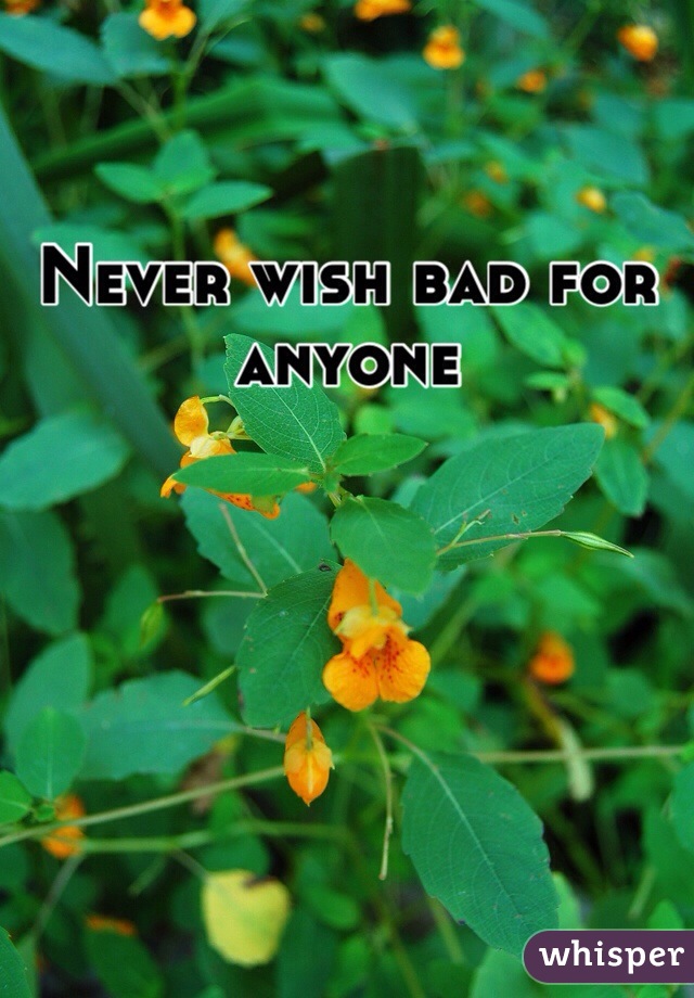 Never wish bad for anyone 