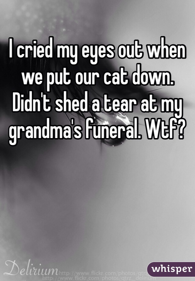 I cried my eyes out when we put our cat down. Didn't shed a tear at my grandma's funeral. Wtf?