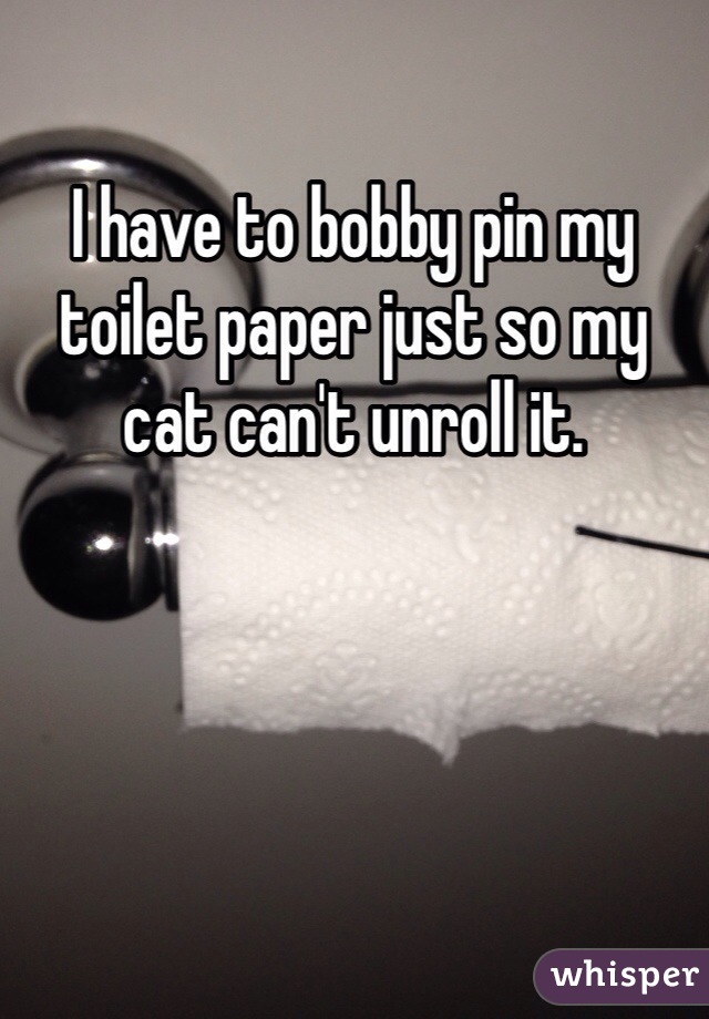 I have to bobby pin my toilet paper just so my cat can't unroll it. 