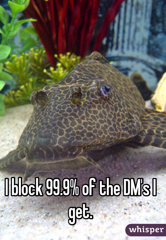 I block 99.9% of the DM's I get.