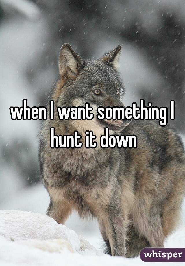 when I want something I hunt it down