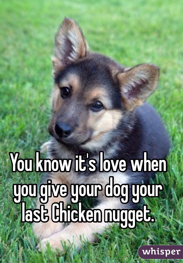 You know it's love when you give your dog your last Chicken nugget. 