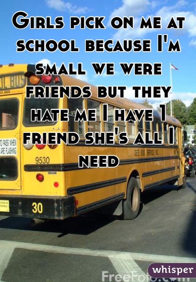 Girls pick on me at school because I'm small we were friends but they hate me I have 1 friend she's all I need 