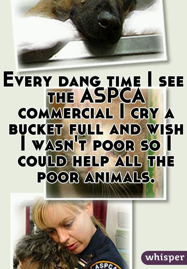 Every dang time I see the ASPCA commercial I cry a bucket full and wish I wasn't poor so I could help all the poor animals.