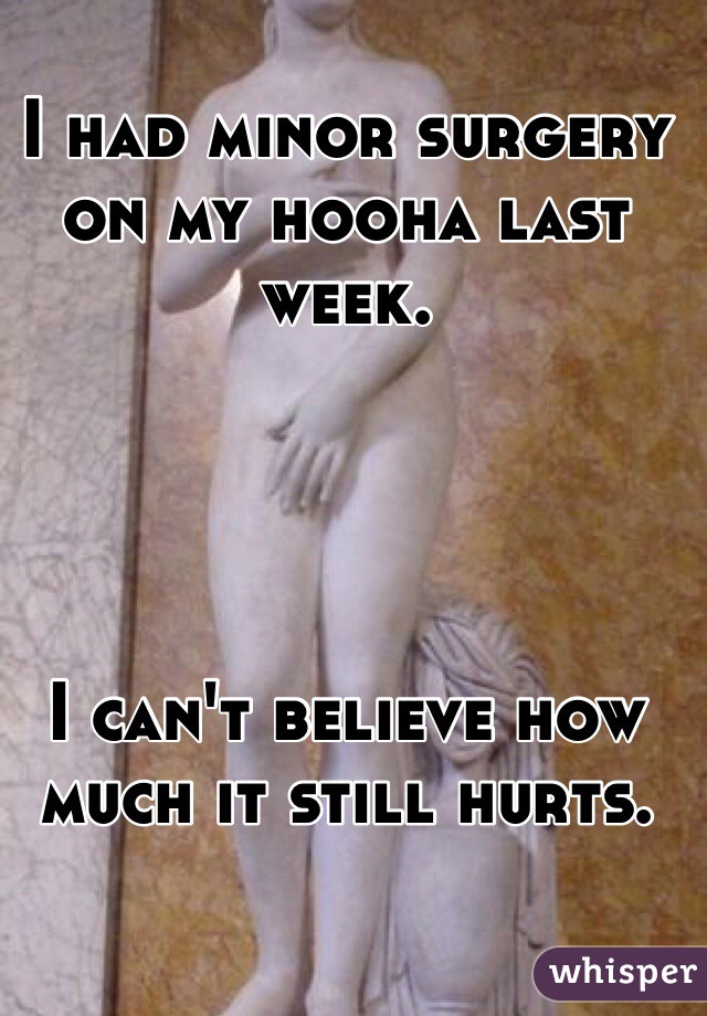 I had minor surgery on my hooha last week. 




I can't believe how much it still hurts. 