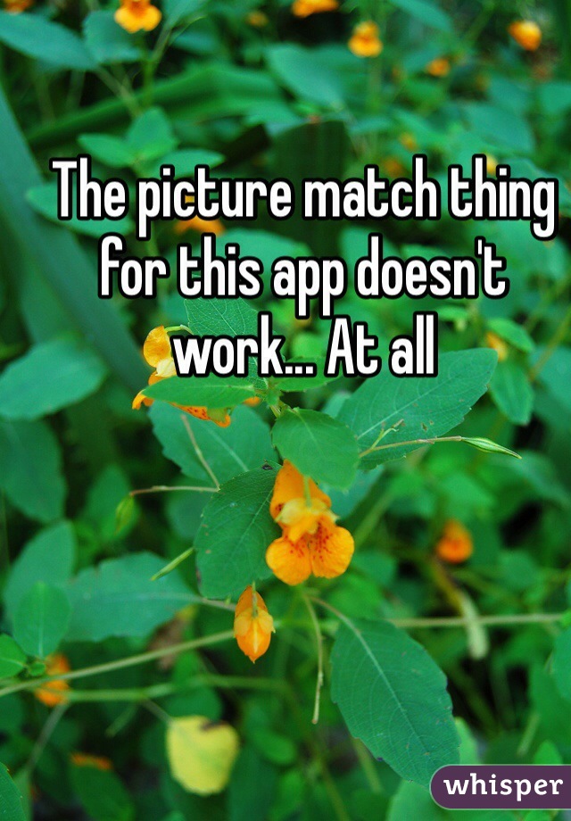 The picture match thing for this app doesn't work... At all