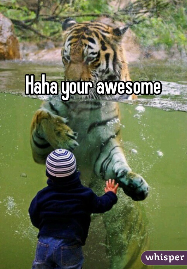 Haha your awesome