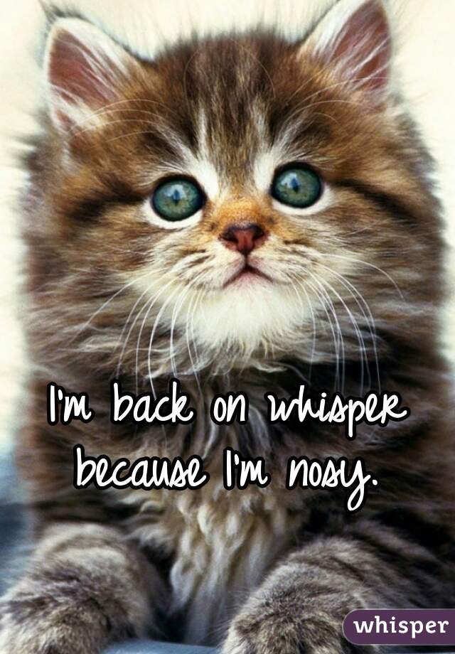 I'm back on whisper because I'm nosy. 