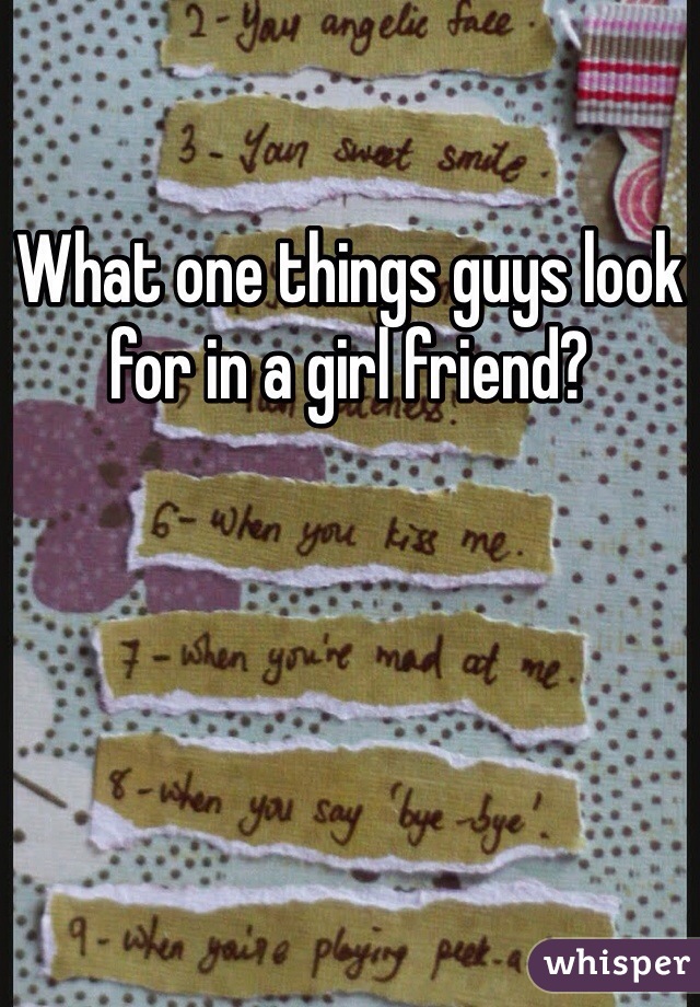 What one things guys look for in a girl friend?