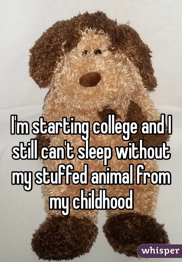 I'm starting college and I still can't sleep without my stuffed animal from my childhood