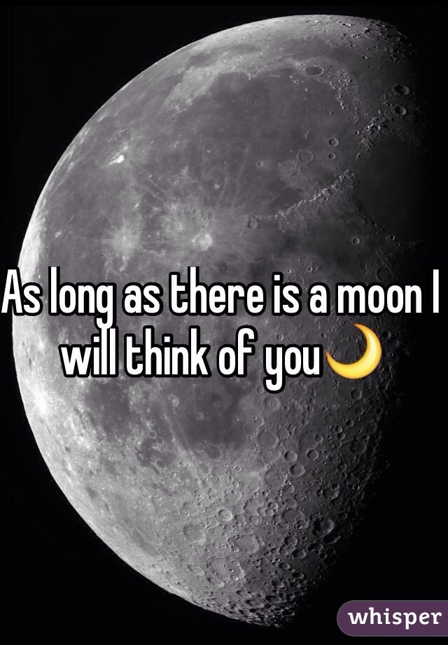 As long as there is a moon I will think of you🌙