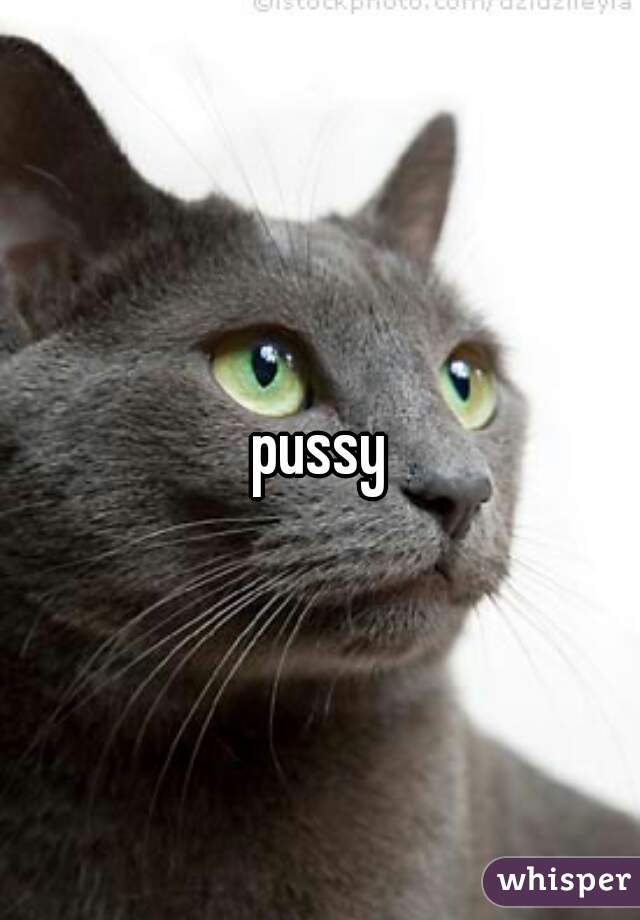 pussy