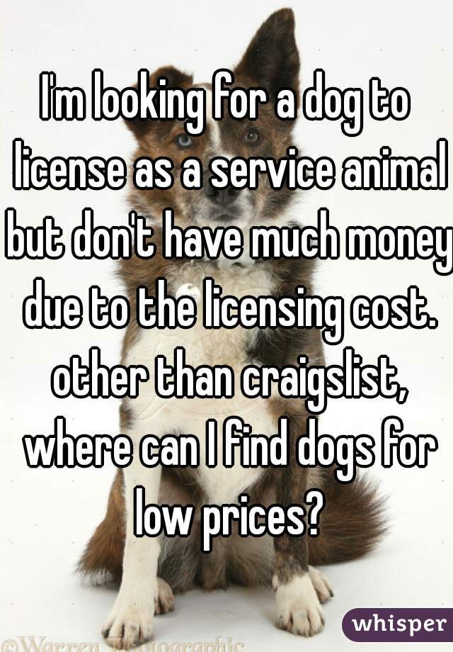 I'm looking for a dog to license as a service animal but don't have much money due to the licensing cost. other than craigslist, where can I find dogs for low prices?