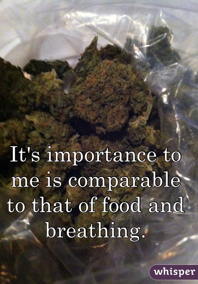 It's importance to me is comparable to that of food and breathing.