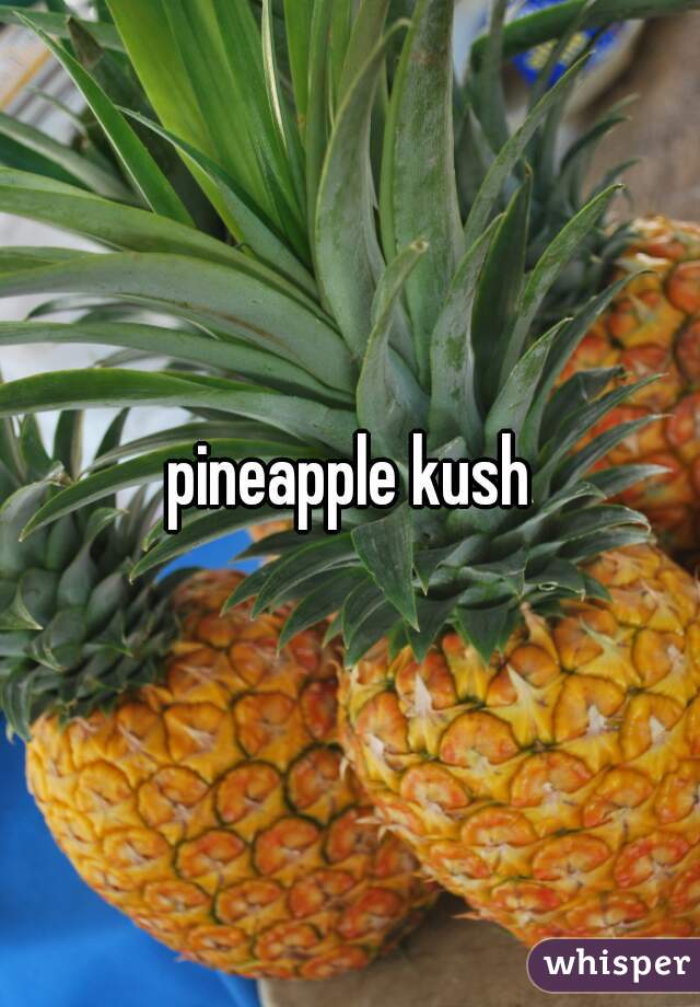 pineapple kush