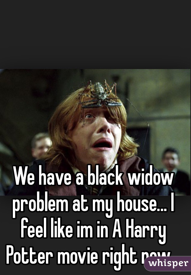 We have a black widow problem at my house... I feel like im in A Harry Potter movie right now...