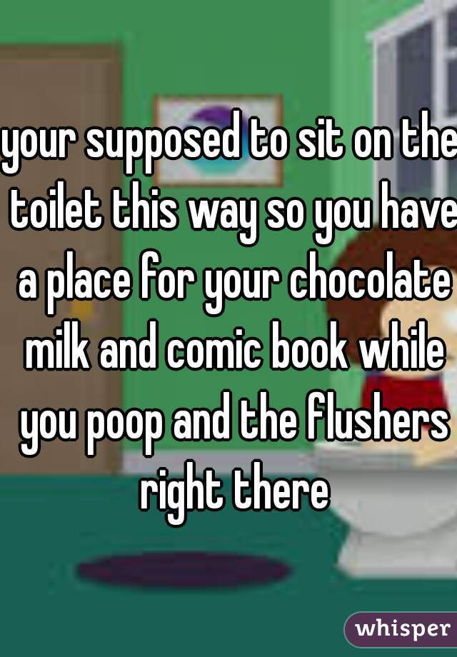 your supposed to sit on the toilet this way so you have a place for your chocolate milk and comic book while you poop and the flushers right there