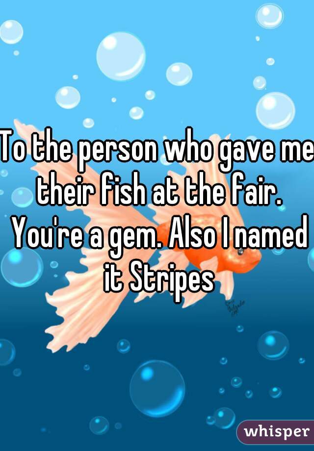 To the person who gave me their fish at the fair. You're a gem. Also I named it Stripes