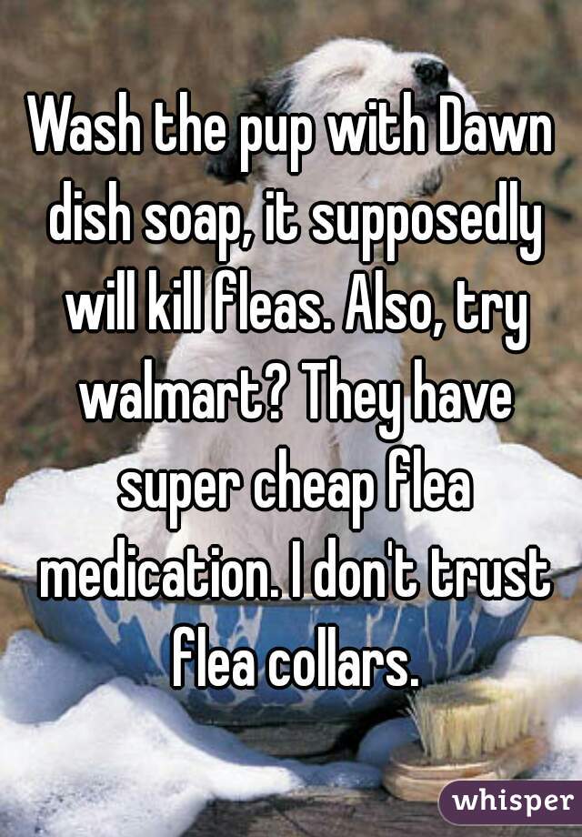 Wash the pup with Dawn dish soap, it supposedly will kill fleas. Also, try walmart? They have super cheap flea medication. I don't trust flea collars.