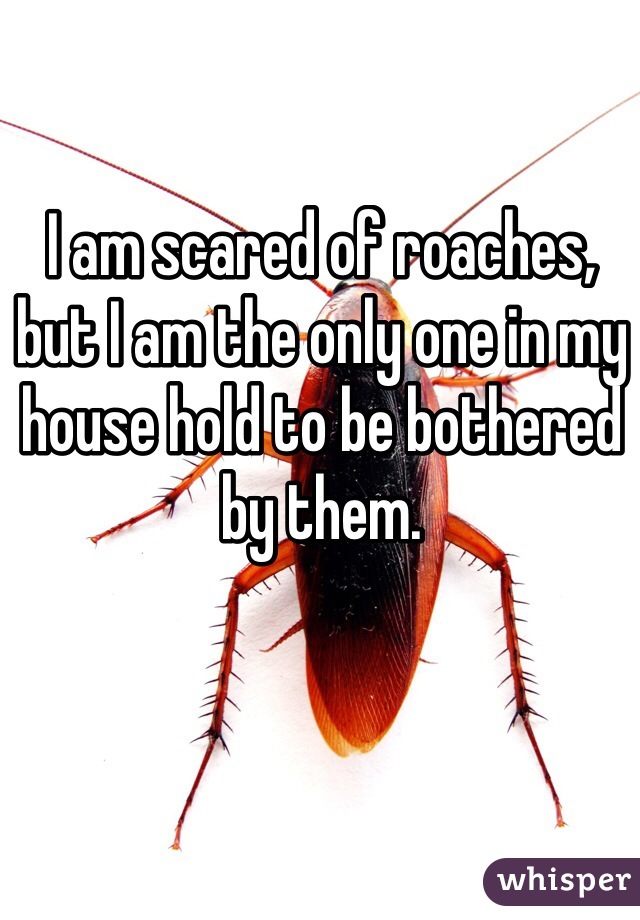 I am scared of roaches, but I am the only one in my house hold to be bothered by them.