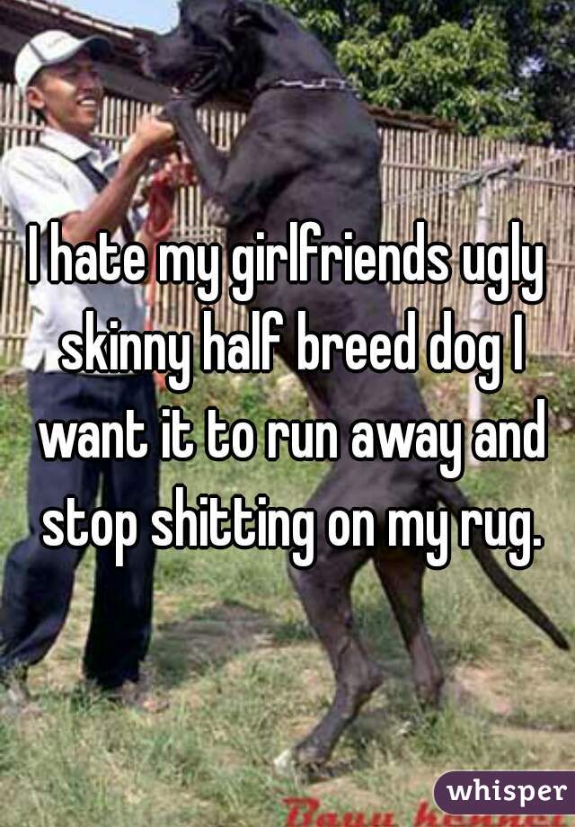 I hate my girlfriends ugly skinny half breed dog I want it to run away and stop shitting on my rug.