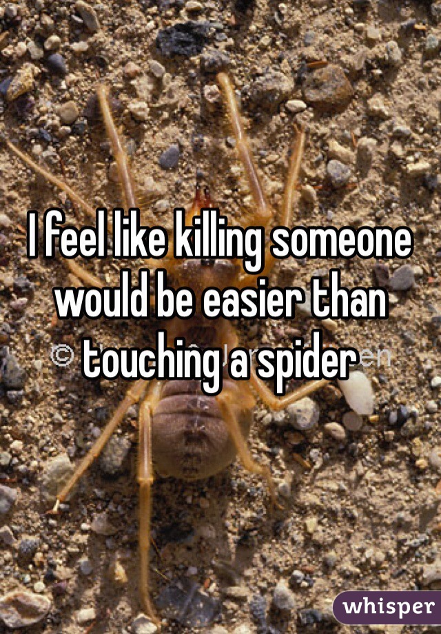 I feel like killing someone would be easier than touching a spider 