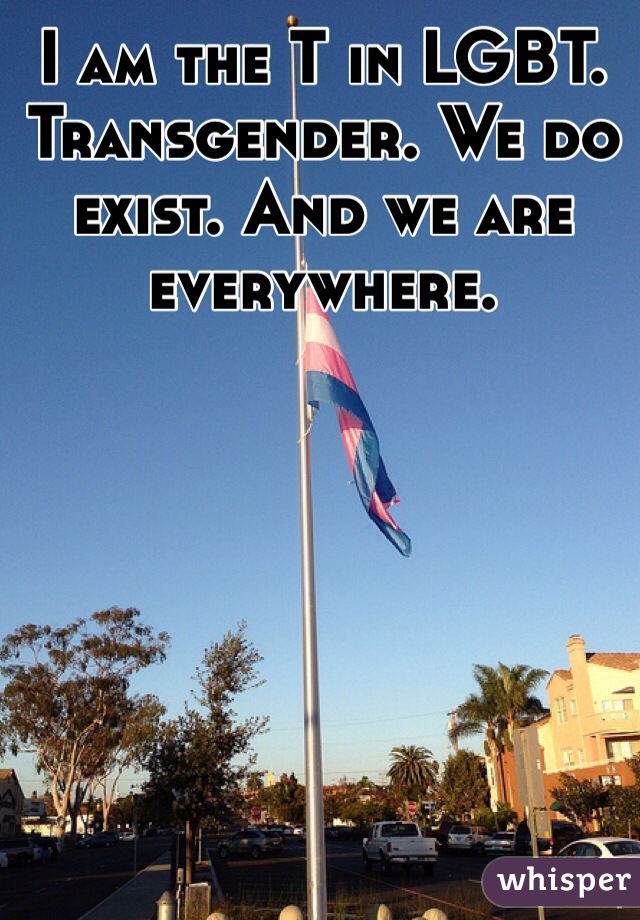 I am the T in LGBT. Transgender. We do exist. And we are everywhere.