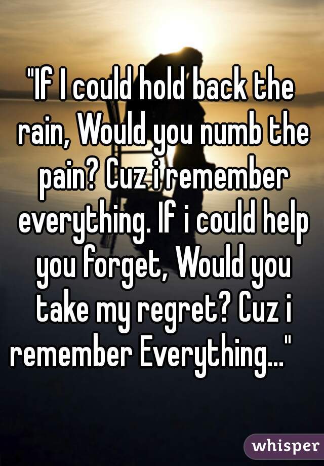 "If I could hold back the rain, Would you numb the pain? Cuz i remember everything. If i could help you forget, Would you take my regret? Cuz i remember Everything..."    