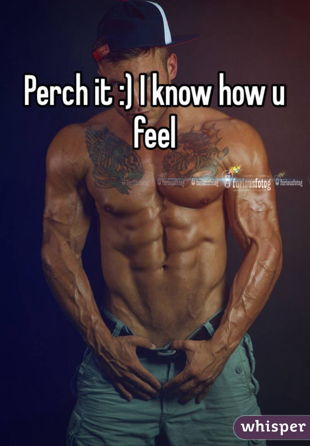 Perch it :) I know how u feel