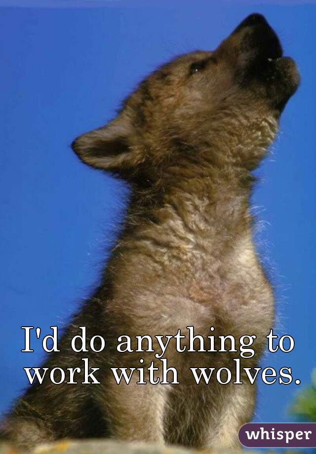 I'd do anything to work with wolves.