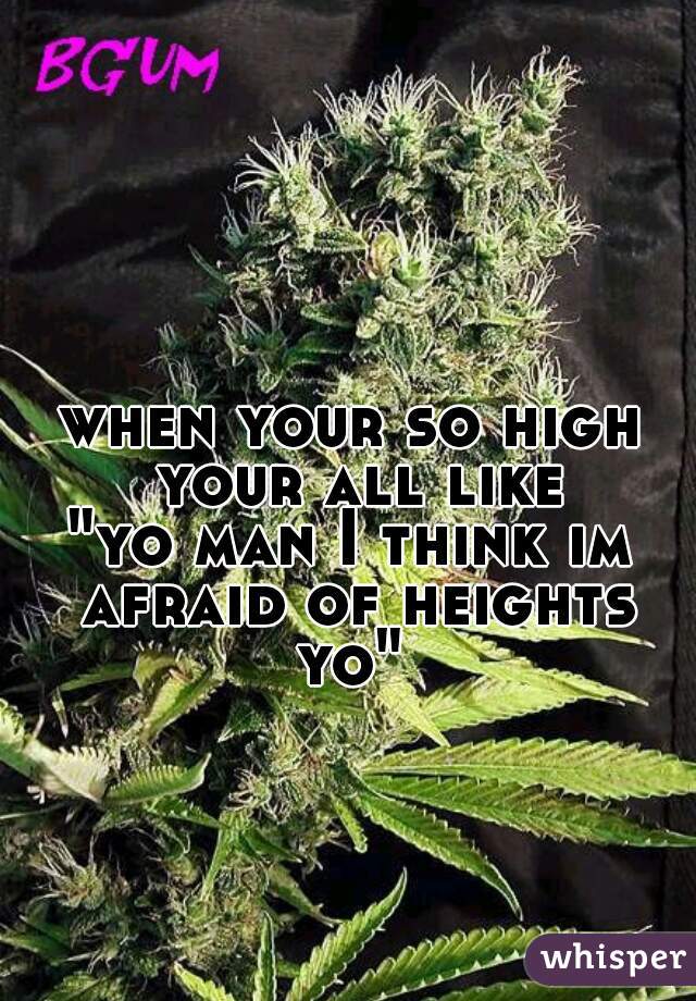 when your so high your all like

"yo man I think im afraid of heights yo" 