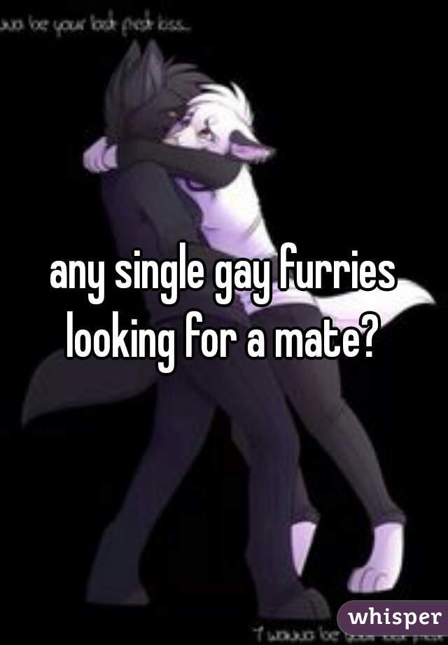 any single gay furries looking for a mate? 
