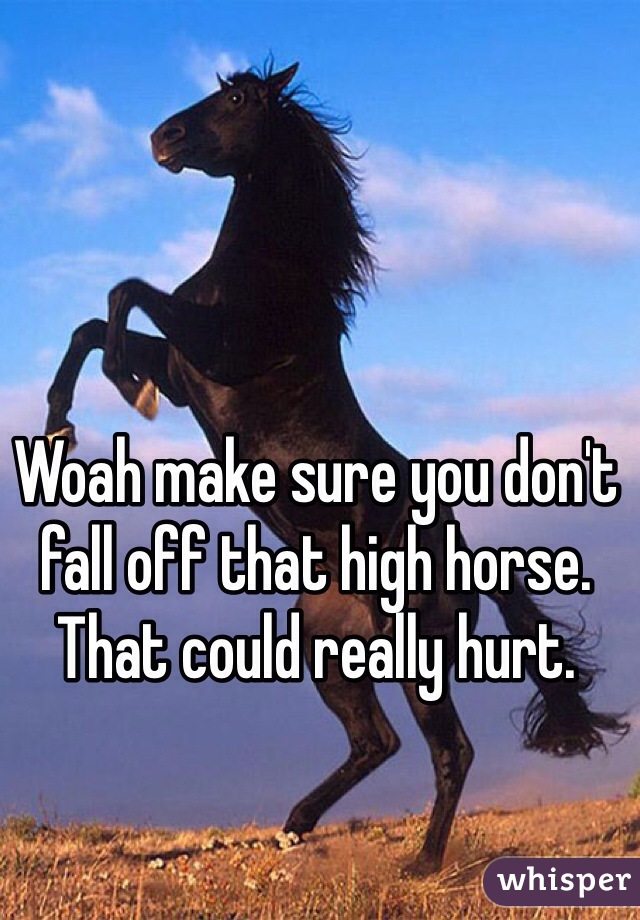 Woah make sure you don't fall off that high horse. That could really hurt. 