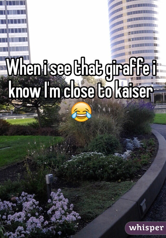 When i see that giraffe i know I'm close to kaiser 😂