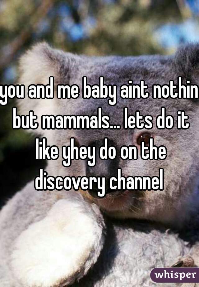 you and me baby aint nothin but mammals... lets do it like yhey do on the discovery channel 