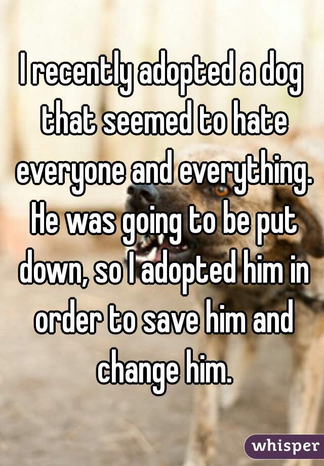 I recently adopted a dog that seemed to hate everyone and everything. He was going to be put down, so I adopted him in order to save him and change him.