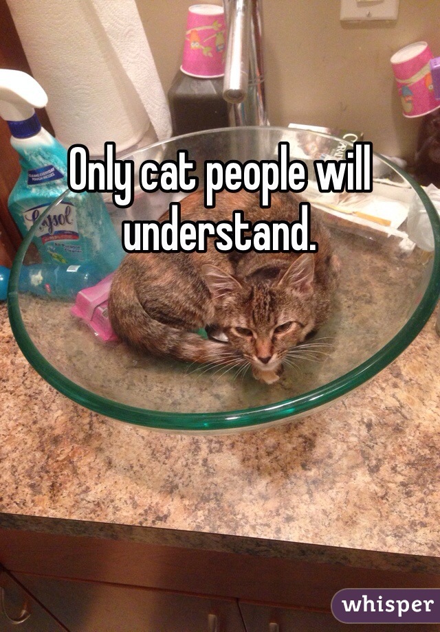 Only cat people will understand.