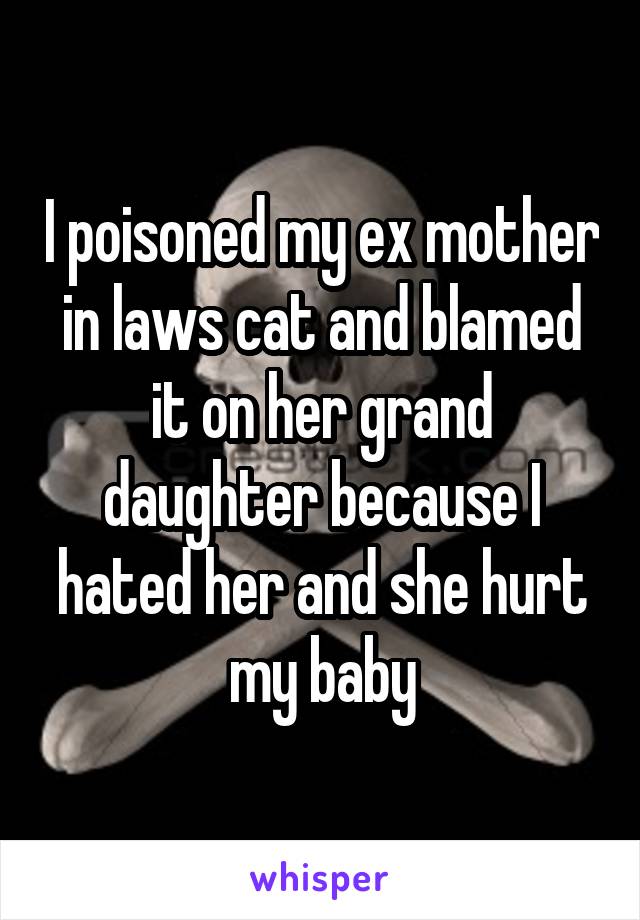I poisoned my ex mother in laws cat and blamed it on her grand daughter because I hated her and she hurt my baby