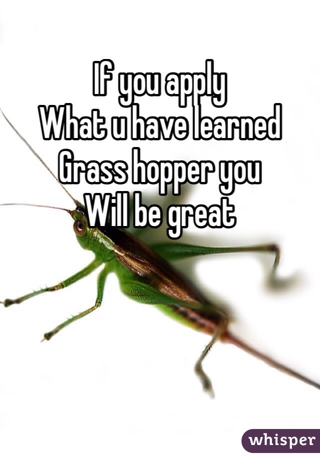 If you apply 
What u have learned 
Grass hopper you 
Will be great 