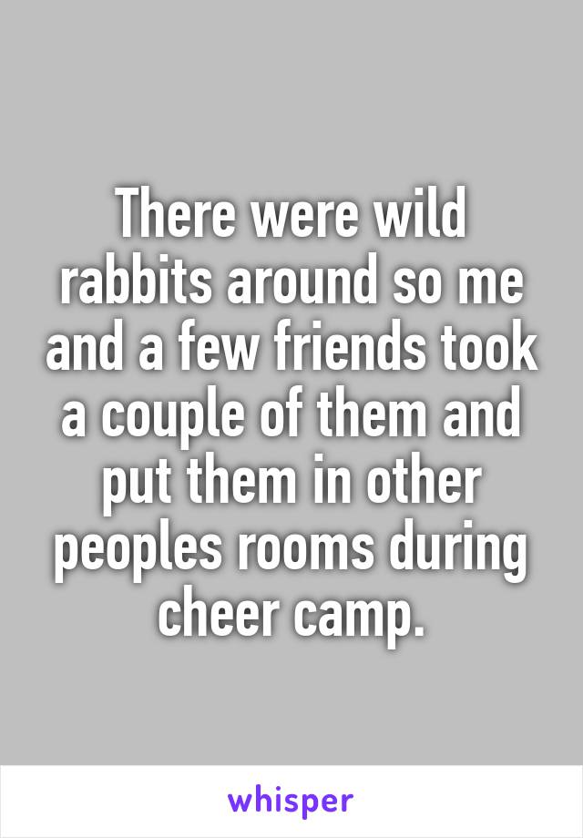 There were wild rabbits around so me and a few friends took a couple of them and put them in other peoples rooms during cheer camp.
