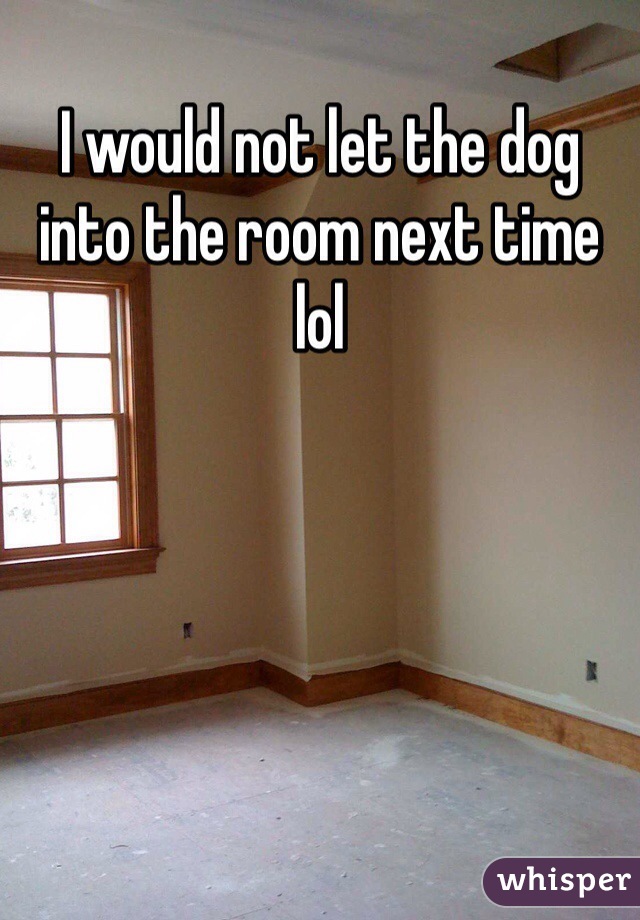 I would not let the dog into the room next time lol