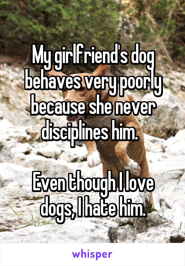 My girlfriend's dog behaves very poorly because she never disciplines him.  

Even though I love dogs, I hate him.