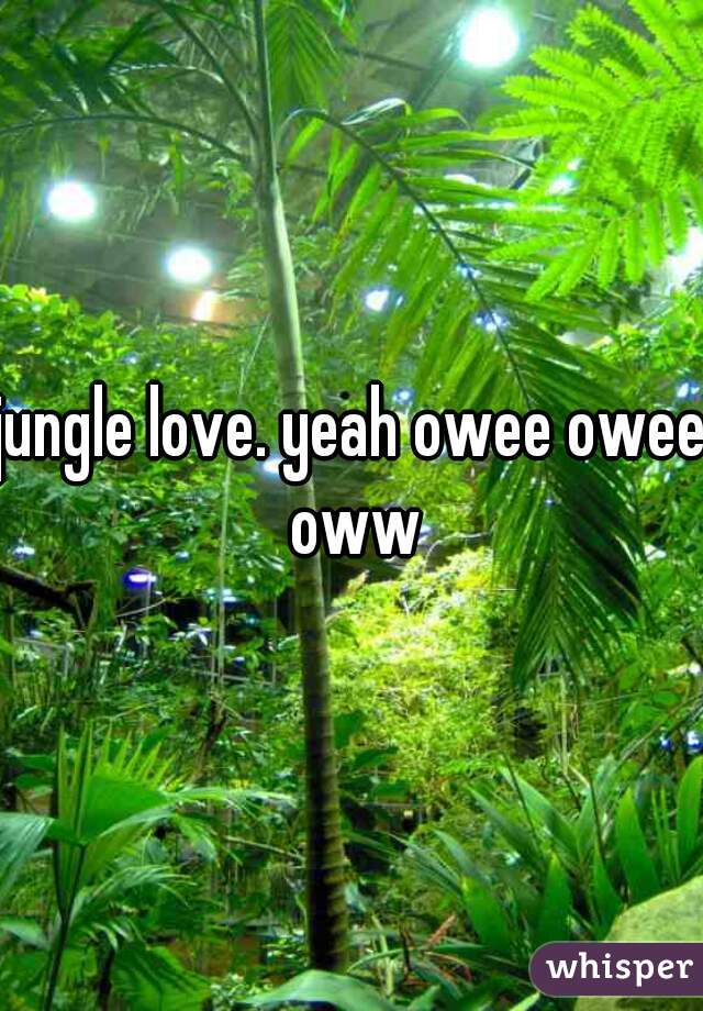 jungle love. yeah owee owee oww